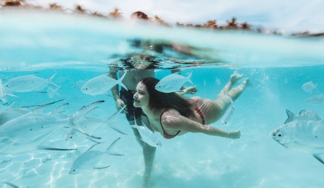 10 Reasons to Enjoy Life Everyday